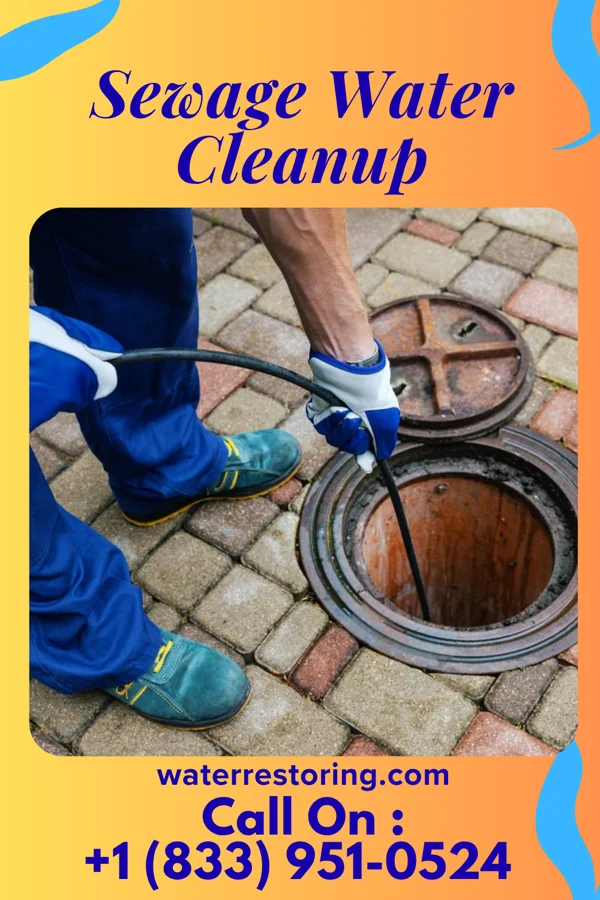 Sewage Water Cleanup in Ashtabula, OH
